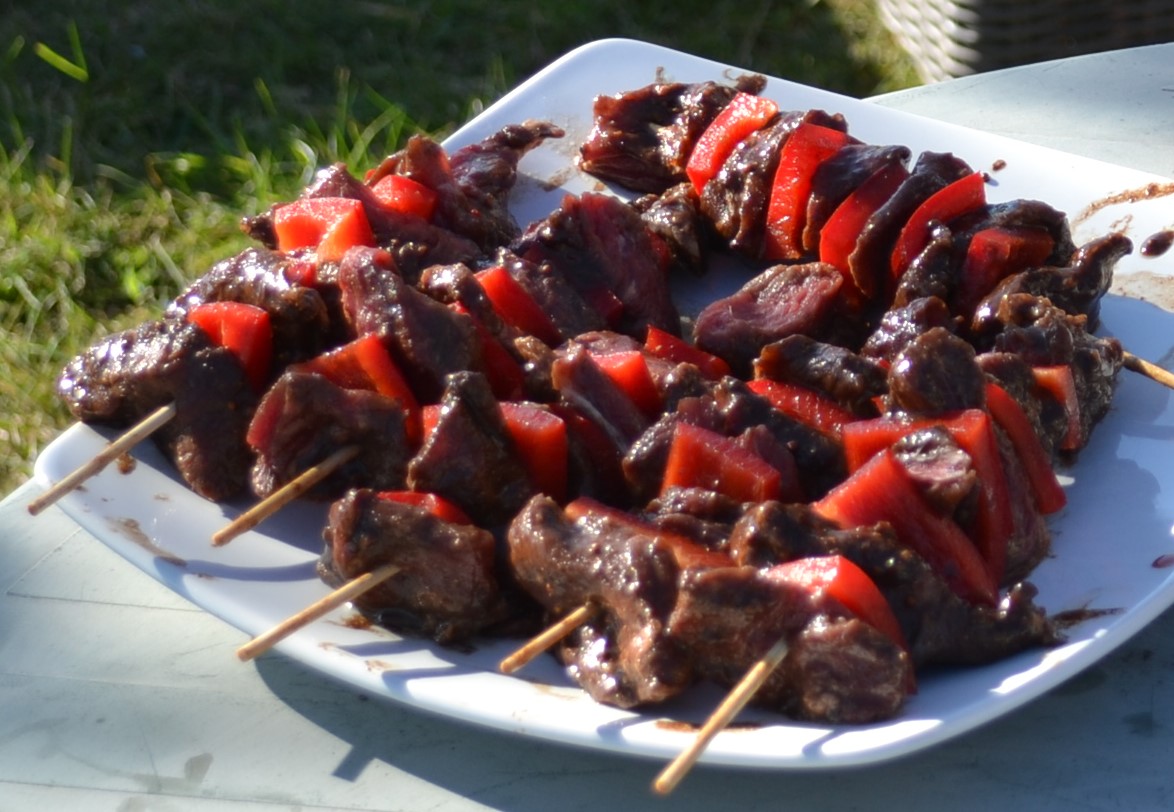 Skewers Uncooked