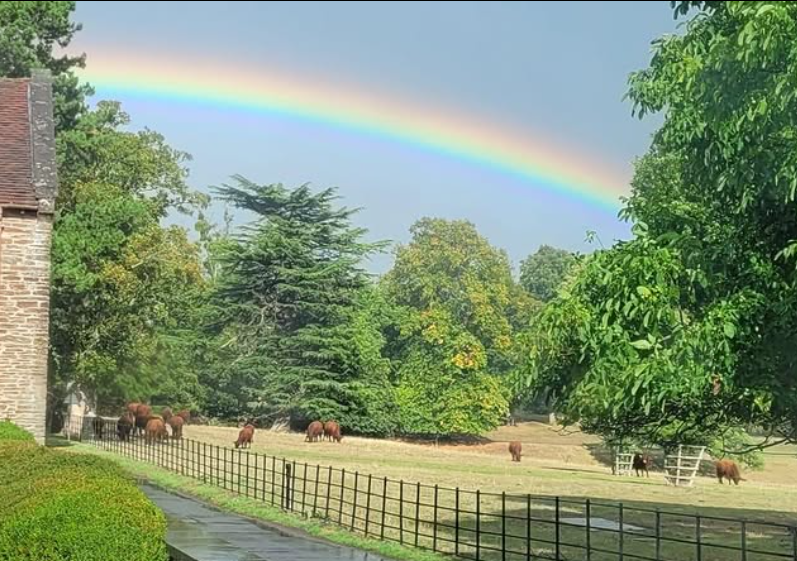 Rainbow