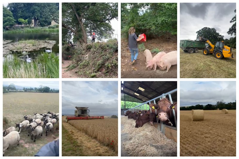 Farm25