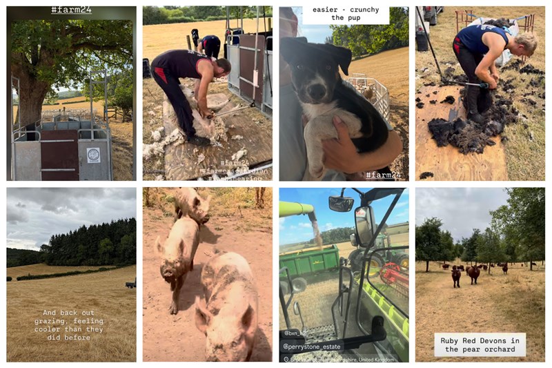 Farm24